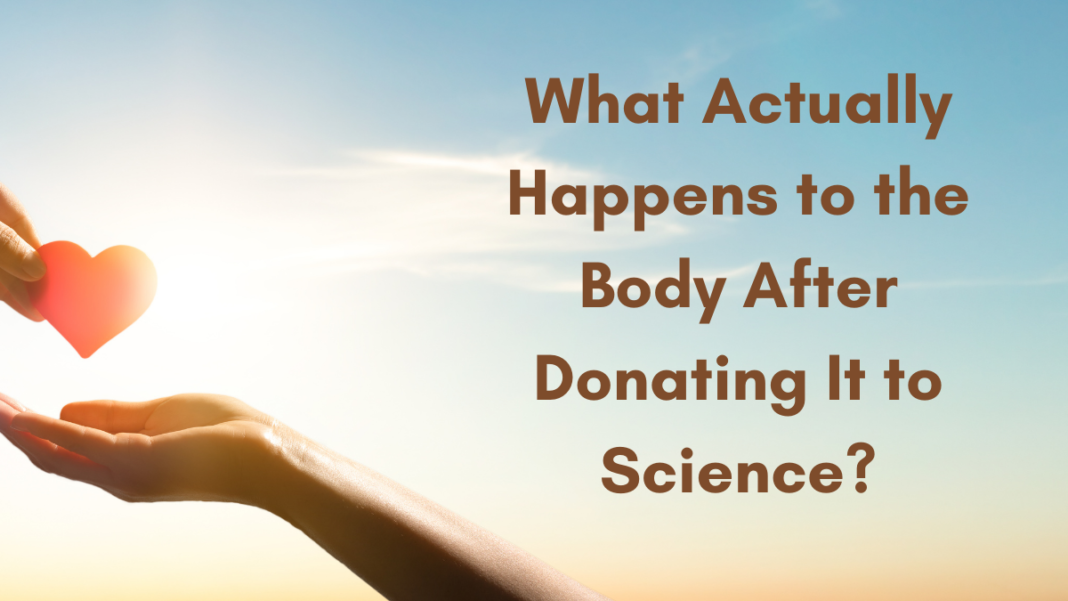 What Actually Happens to the Body After Donating It to Science?