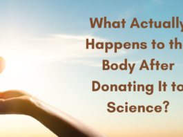 What Actually Happens to the Body After Donating It to Science?
