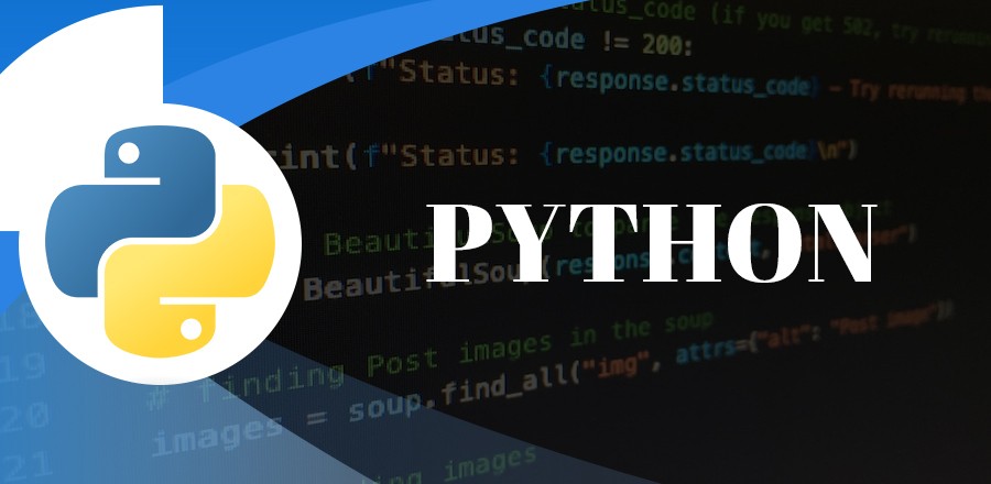 Python into Business Processes